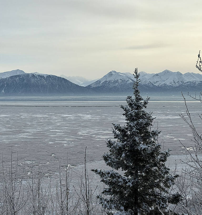 Evergreen Tree Mountains