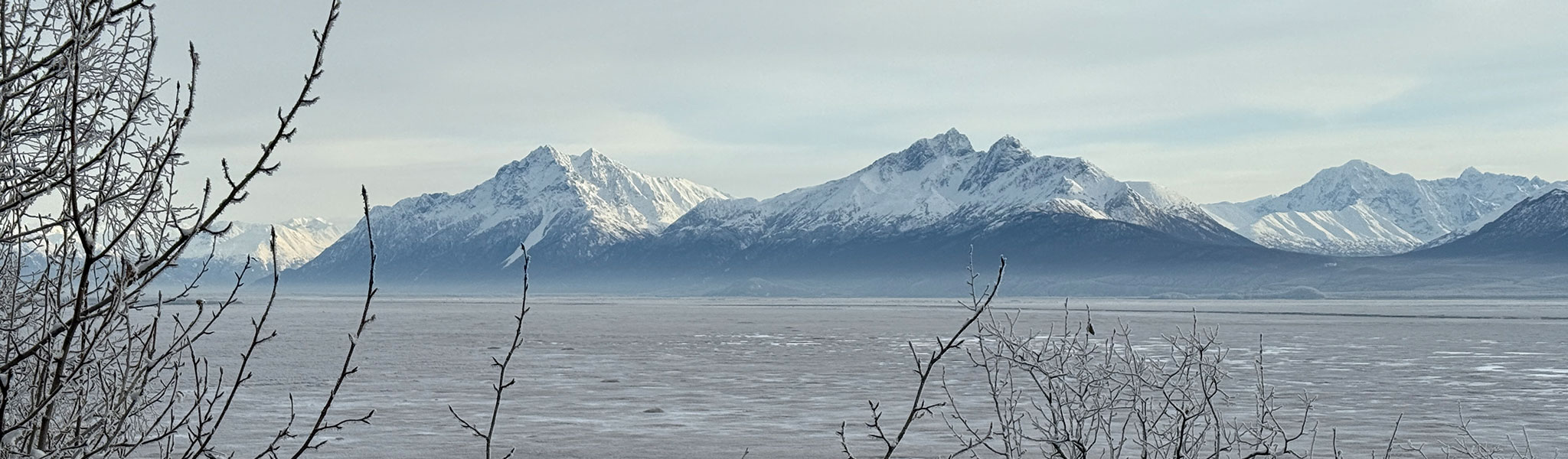 Trees Mountains